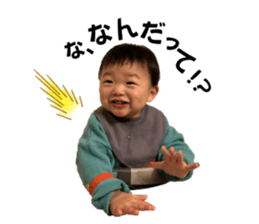 813307340