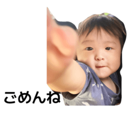 813333999