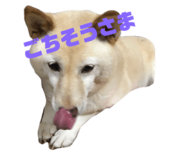81336769