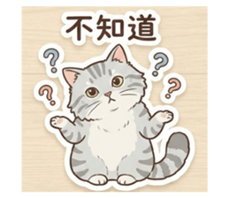 813392087
