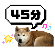 813394381