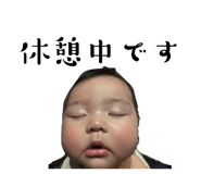 813395145