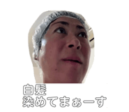 813405231