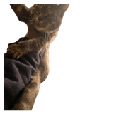 813407713
