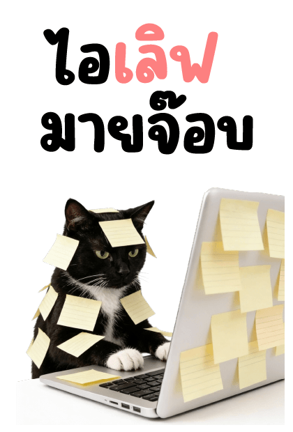 ลายที่ 11