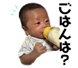 81341523