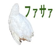 813415560