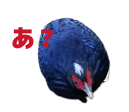 813415563