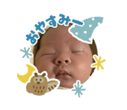813419586