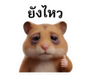813428407