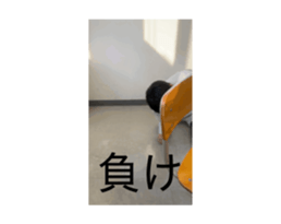 813433196
