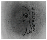 813434126