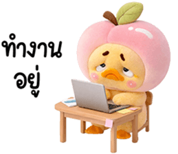 813434506