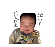 813435216