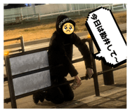 813474326