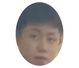 813481317