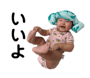 813481694