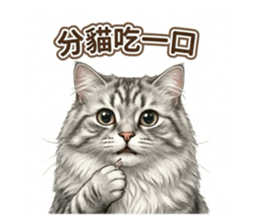 813500245