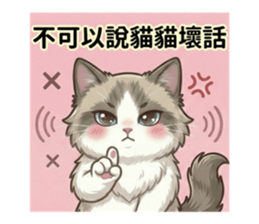 813501357