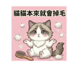 813501362