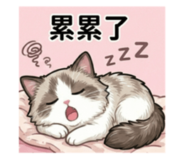 813501384