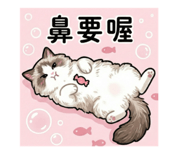 813501392