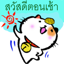 8135684
