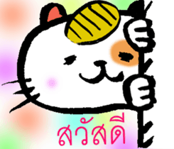 8135686