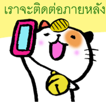 8135696