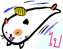 8135699