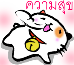 8135702