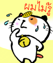 8135704