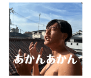 813570646