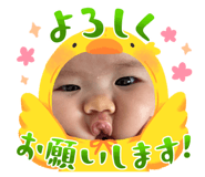 813613773