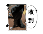 813622254