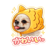 813625045