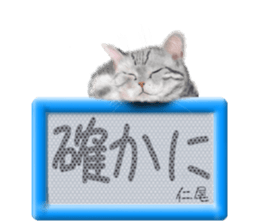 813652626