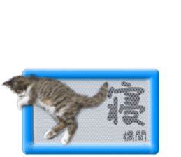813653596