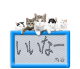 813653759