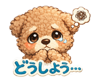 813657072