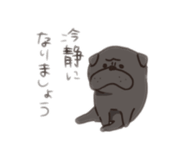813657612