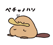 813662595