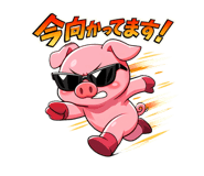 813662697