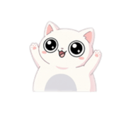 813663056
