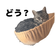 813672510
