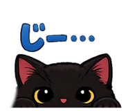 813743443