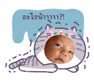 813785809