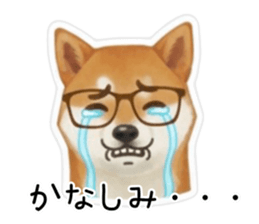 813794381