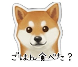 813794408