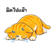 813853204